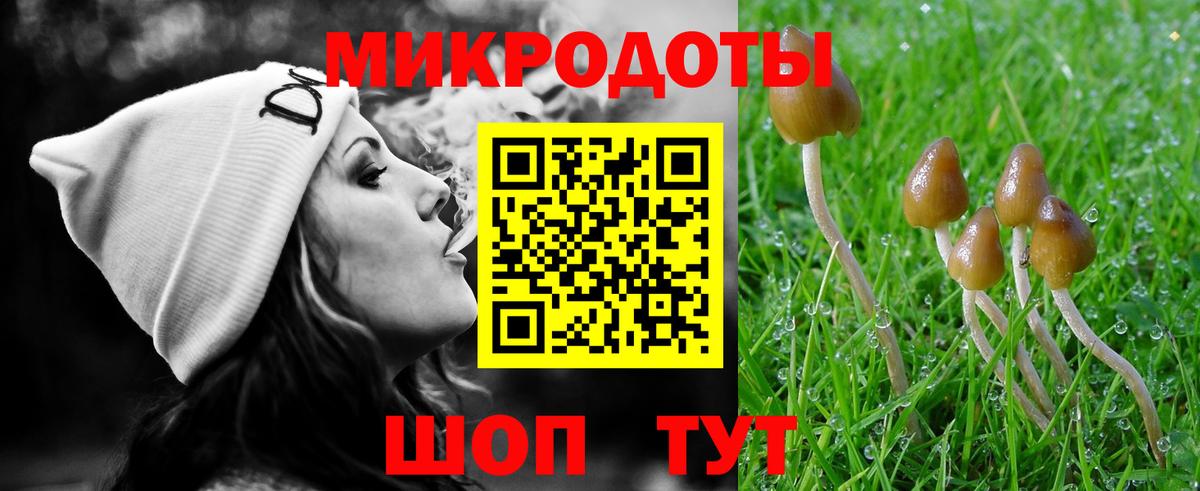 Ялуторовск  Псилоцибиновые грибы Cubensis  Галлюциногенные грибы GOLDEN TEACHER  Вход с VPN 