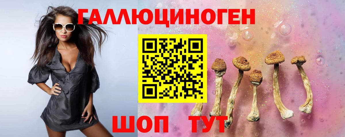 Галлюциногенные грибы GOLDEN TEACHER Ялуторовск